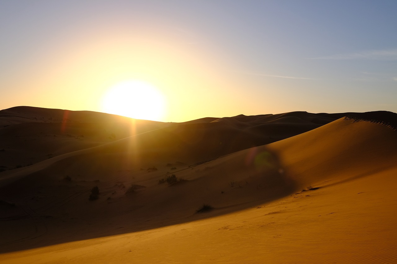 abu dhabi sunrise desert safari